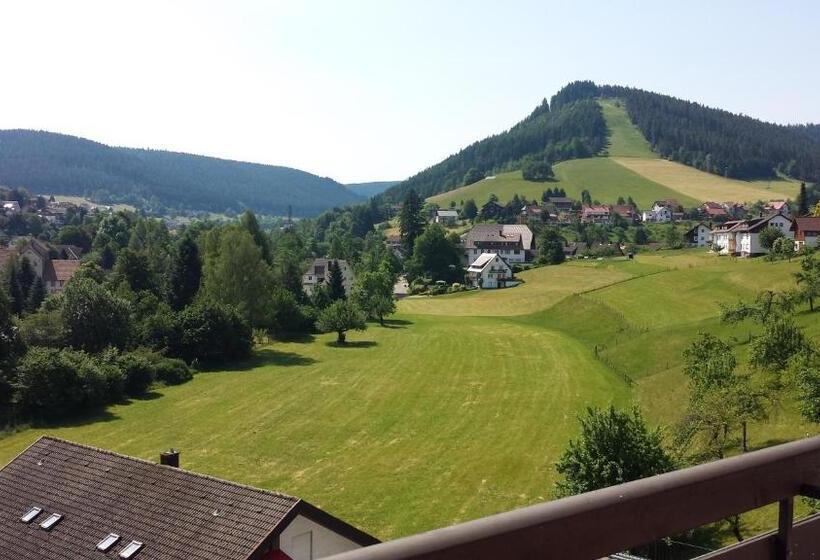 Panoramahotel Berghof