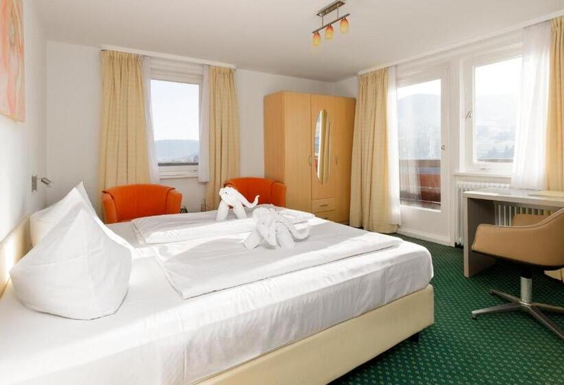 Panoramahotel Berghof