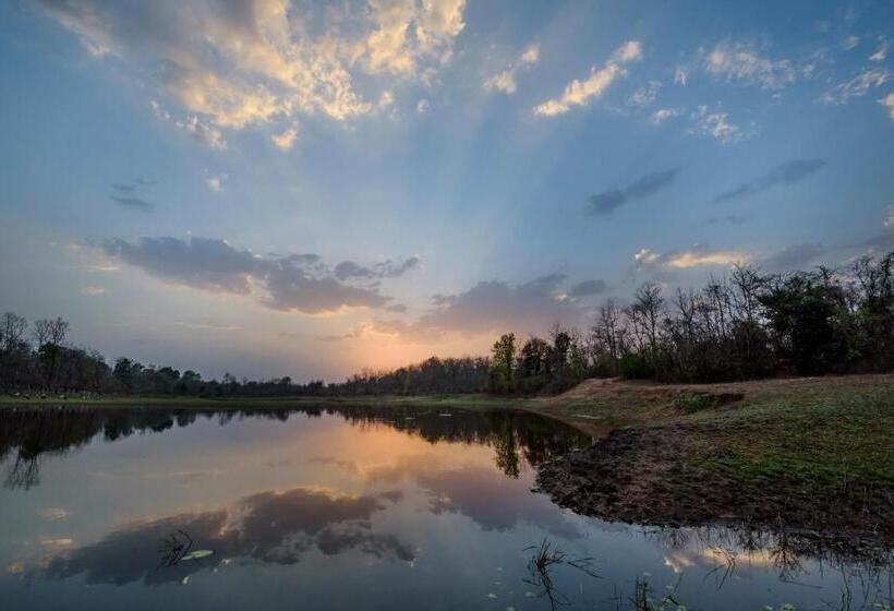 리조트 The Riverwood Forest Retreat Pench