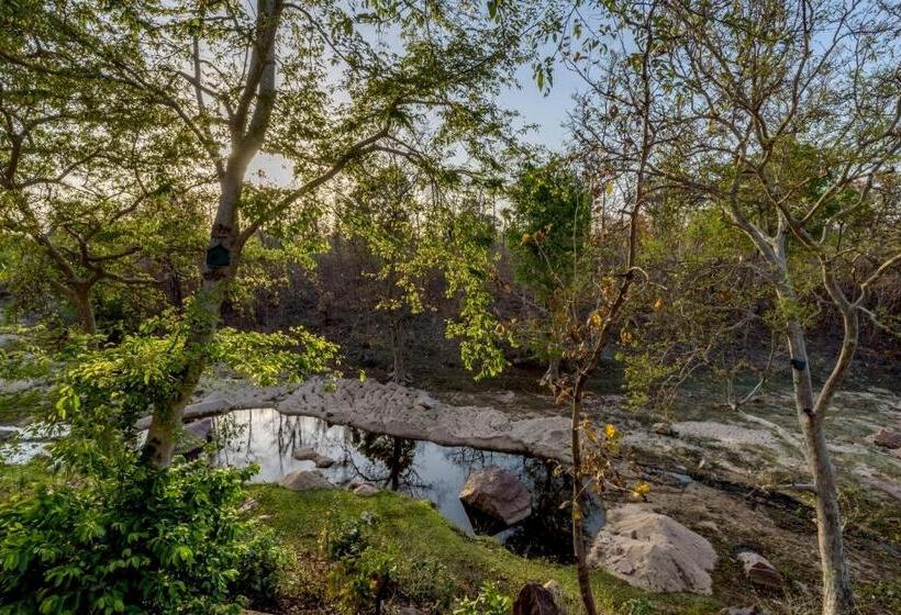 리조트 The Riverwood Forest Retreat Pench