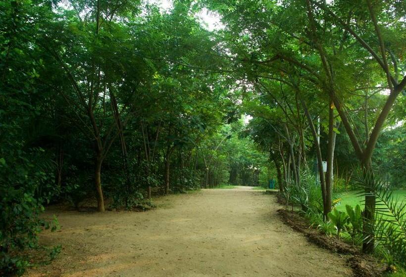 リゾートホテル The Riverwood Forest Retreat Pench