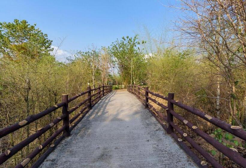 리조트 The Riverwood Forest Retreat Pench