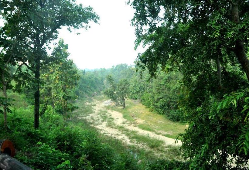 리조트 The Riverwood Forest Retreat Pench