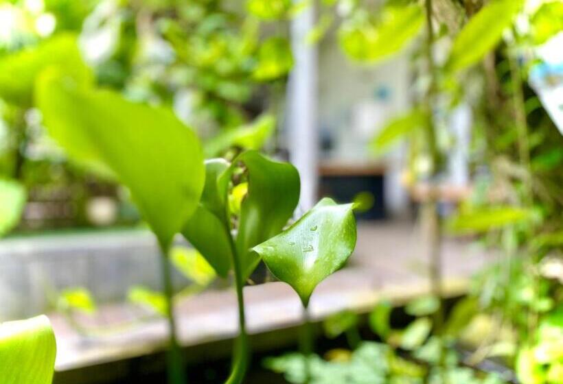 The Hide Hostel At Canggu