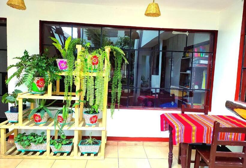 Vacahouse Hostels B&b