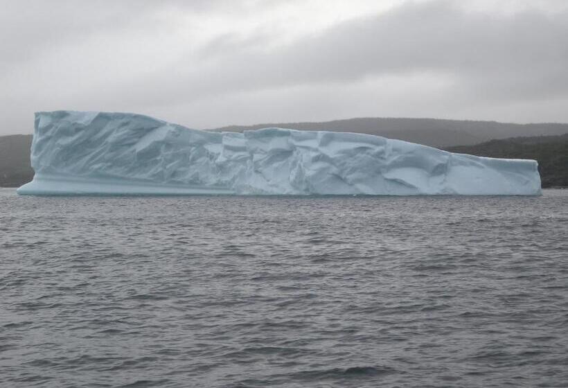 Wildberry Country Lodge B&b