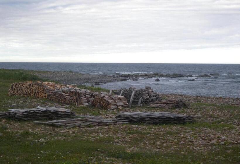 Wildberry Country Lodge B&b