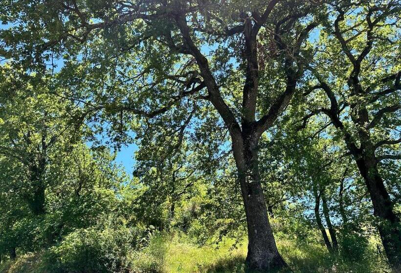 민박 Oasi Acquafresca