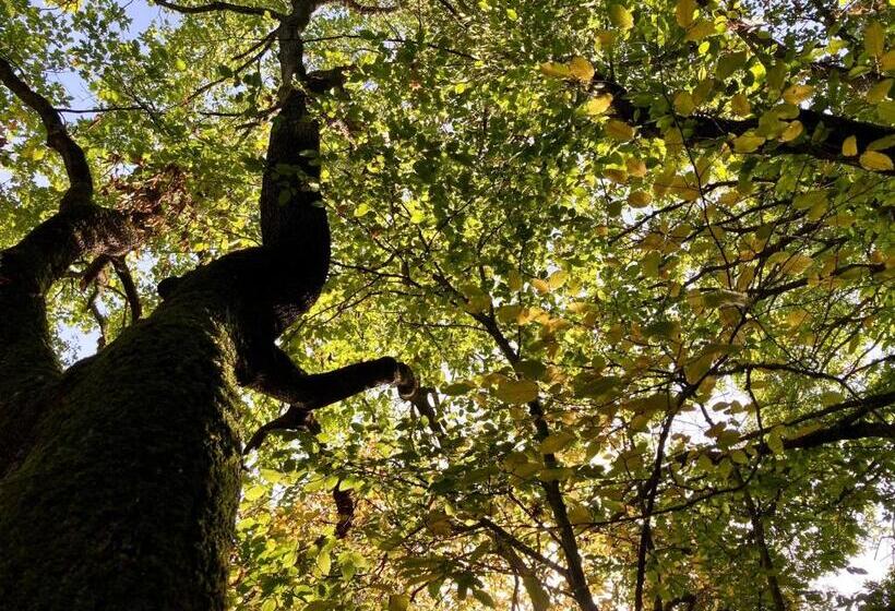 민박 Oasi Acquafresca