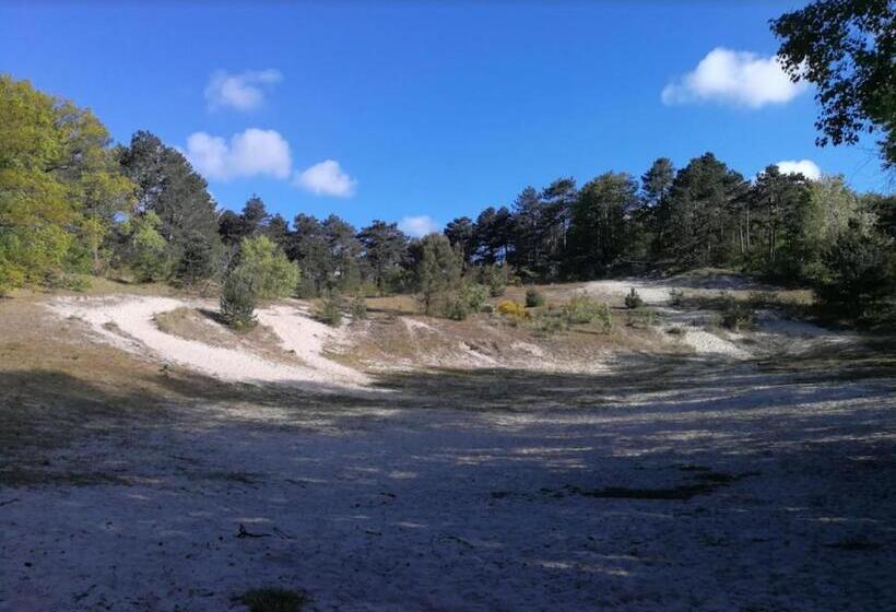 Bed and Breakfast Studio Bergen