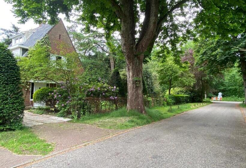 Bed and Breakfast Studio Bergen