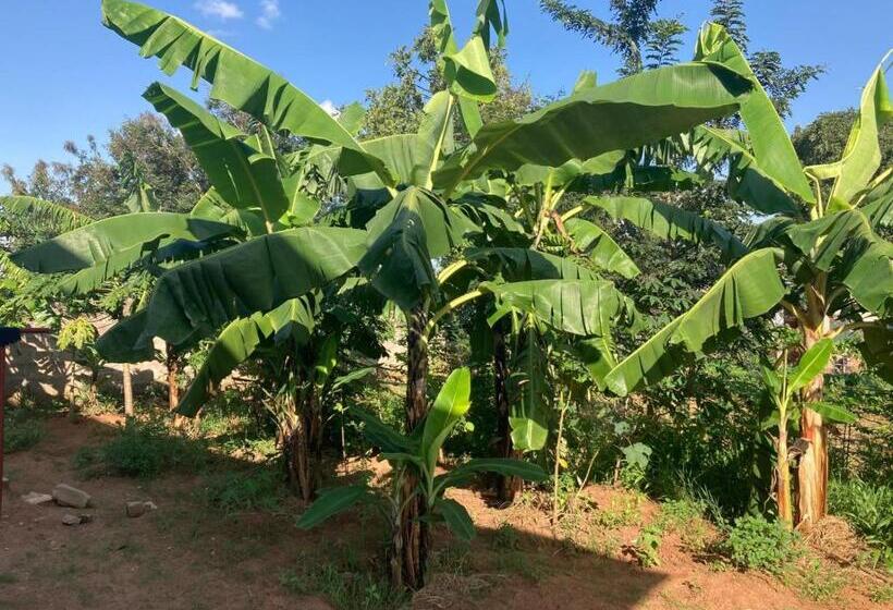 مبيت وإفطار Wabike & Deen