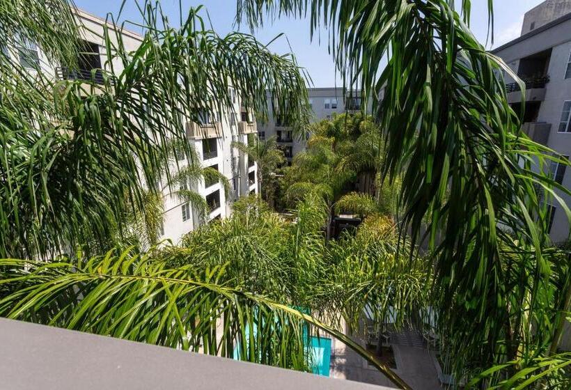 カプセルホテル Santa Monica 2bedrooms Pool&gym&free Parking