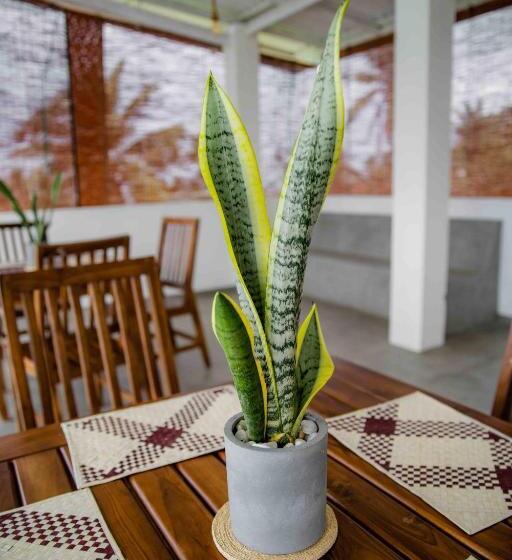 ホテル Hirigala Beach Resort