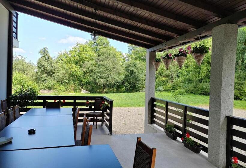 Отель Pensiunea La Cazaci