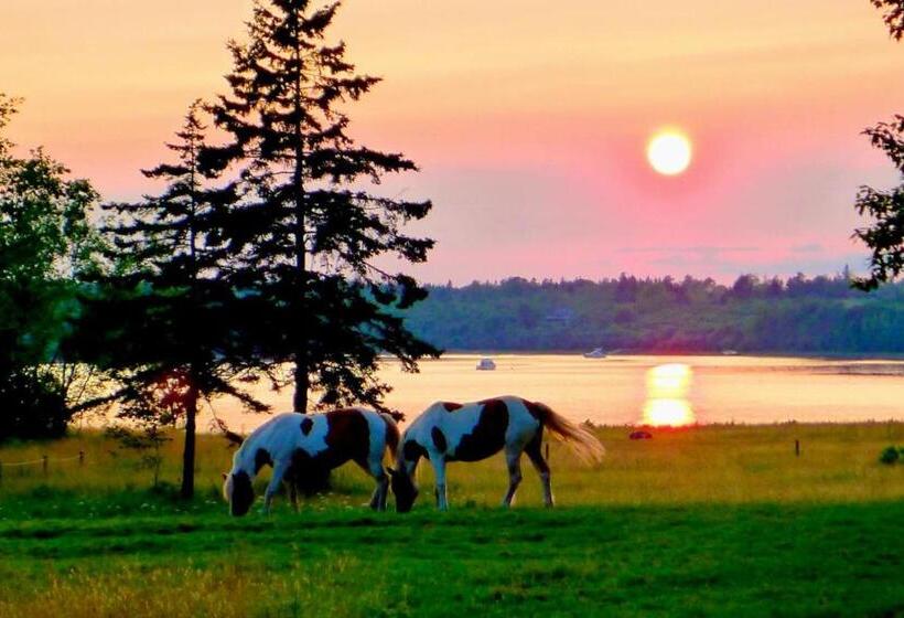 فندق Tapley Farm Charming Barn At Salt Water Farm