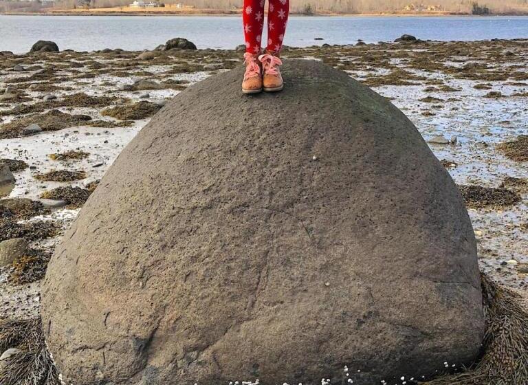 בית מלון כפרי Tapley Farm Charming Barn At Salt Water Farm