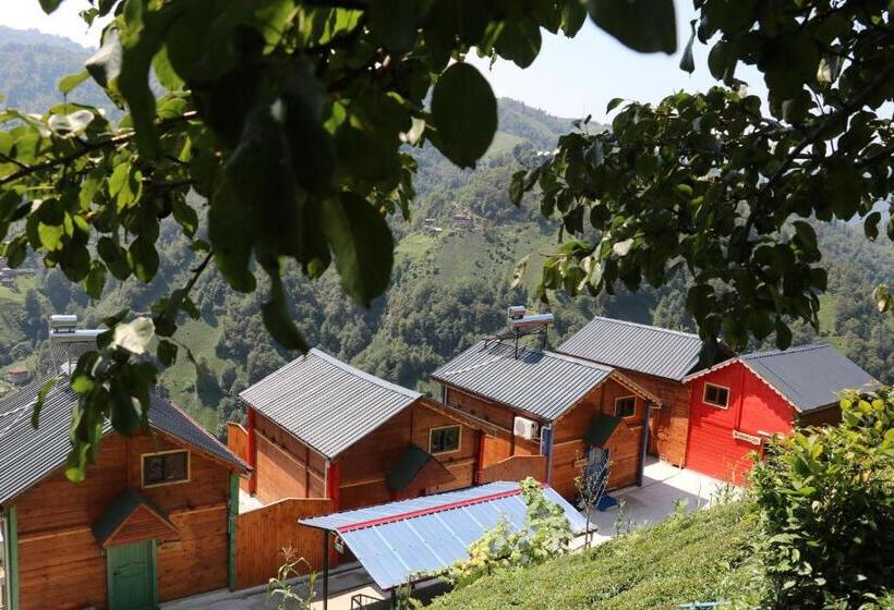 בית מלון כפרי The Reo S Suit