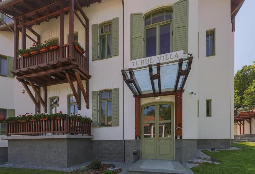 Отель Turul Villa