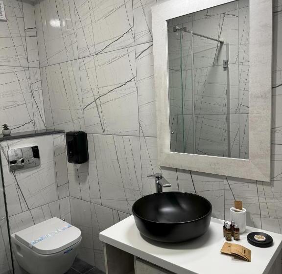 בית מלון כפרי Vila Turistică D Eric