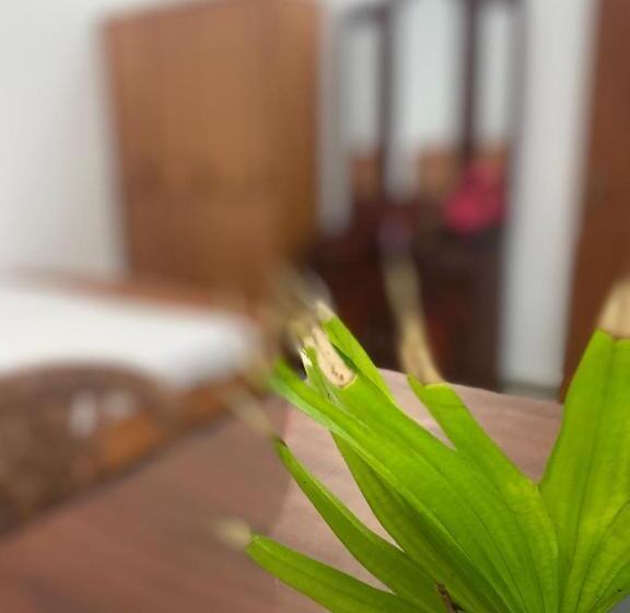 Пансион Bat House