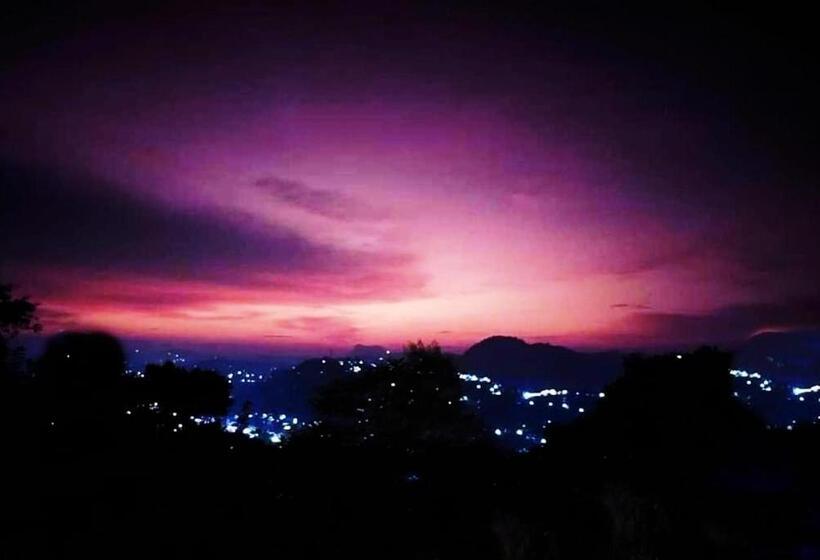 펜션 Cinnamon Citrus Residency