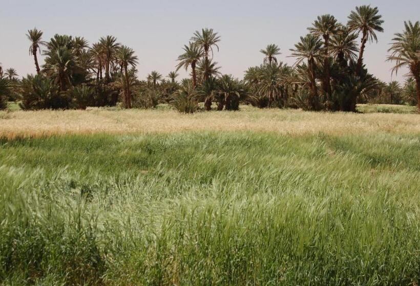 بنسيون Ecolodge Le Désert