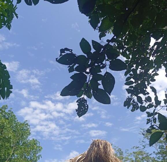 פנסיון Templanza Del Pacífico Hostal