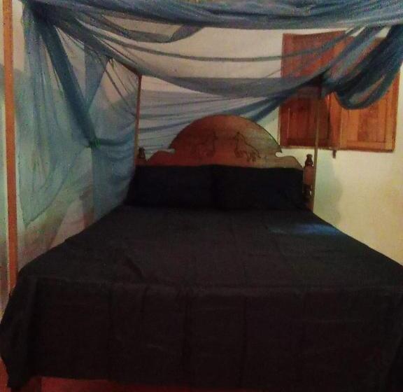 פנסיון Templanza Del Pacífico Hostal