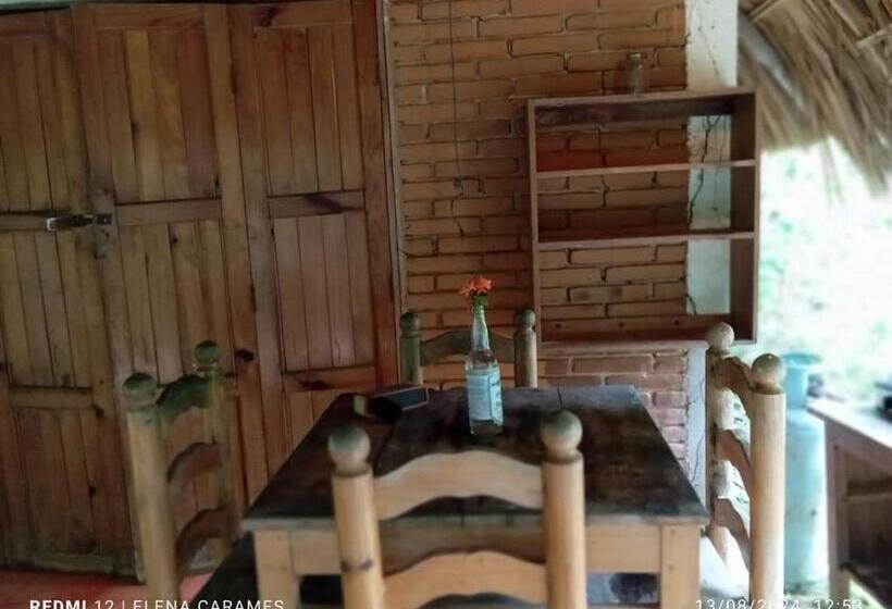 פנסיון Templanza Del Pacífico Hostal