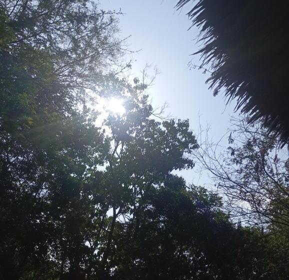 פנסיון Templanza Del Pacífico Hostal