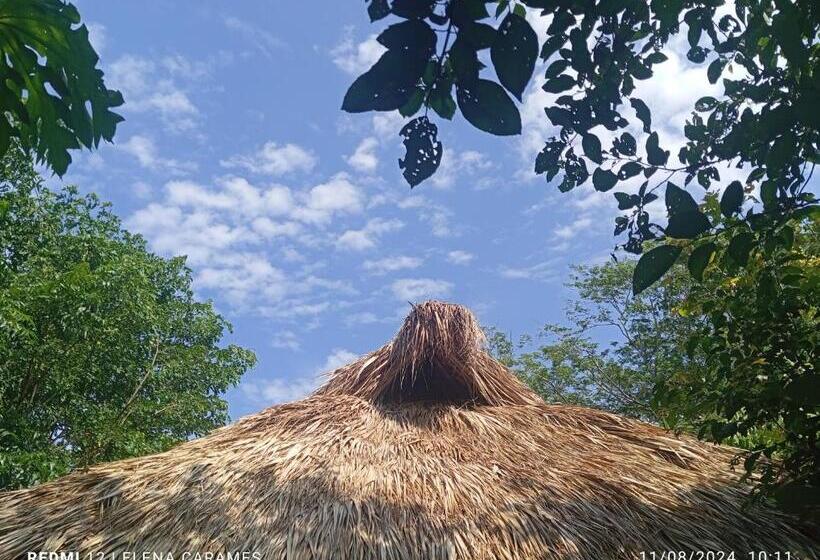 פנסיון Templanza Del Pacífico Hostal