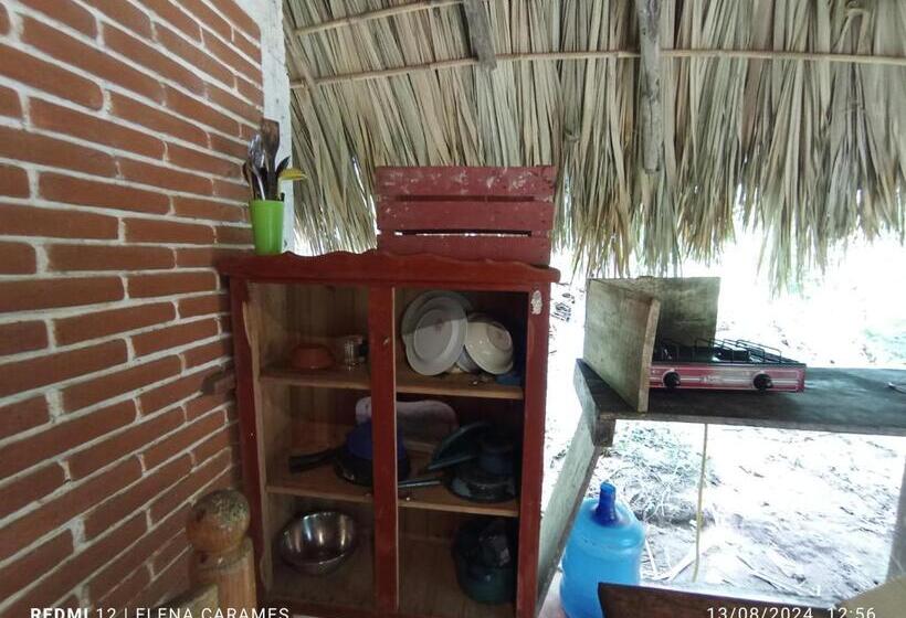 פנסיון Templanza Del Pacífico Hostal