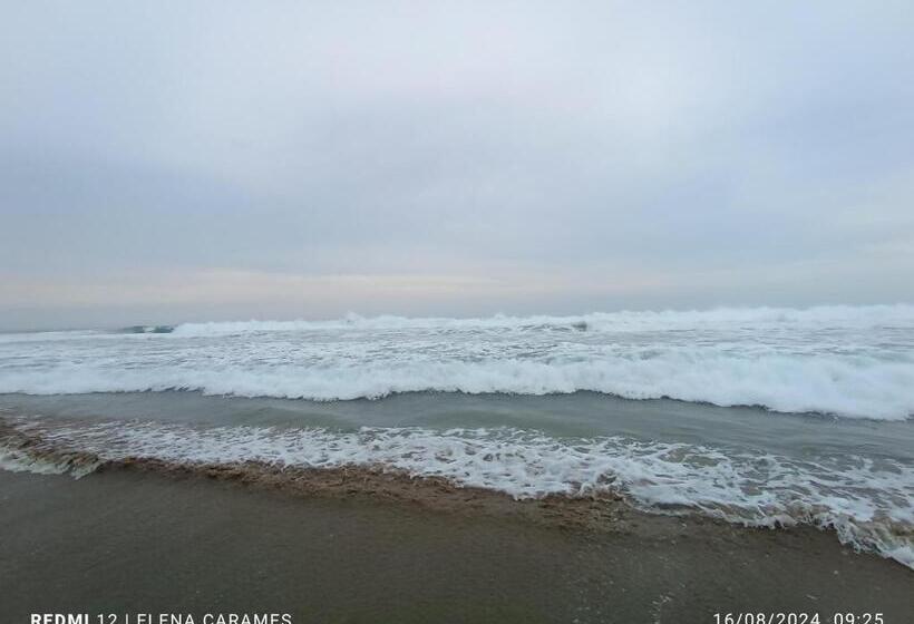 פנסיון Templanza Del Pacífico Hostal