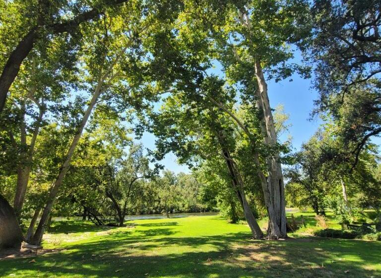 Пансион Trout Reflections