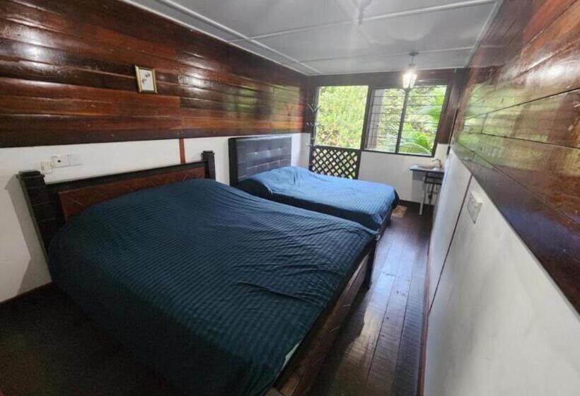 リゾートホテル Rockforest Chalet