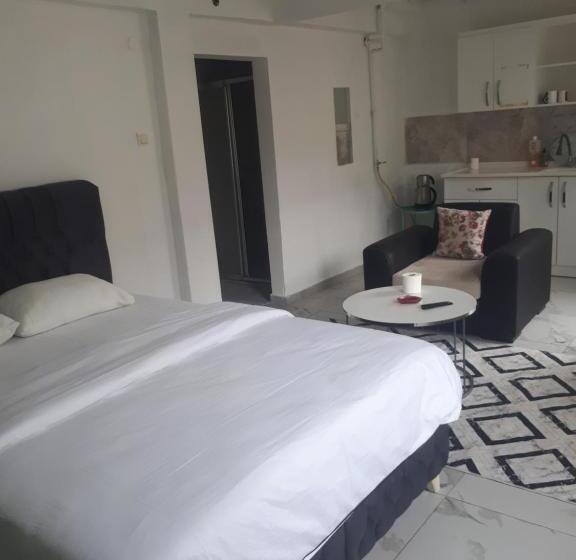 Samsun Merkezde Gunluk Apart