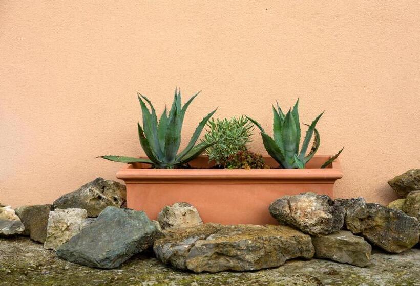 B&b Il Bed And Bookfast