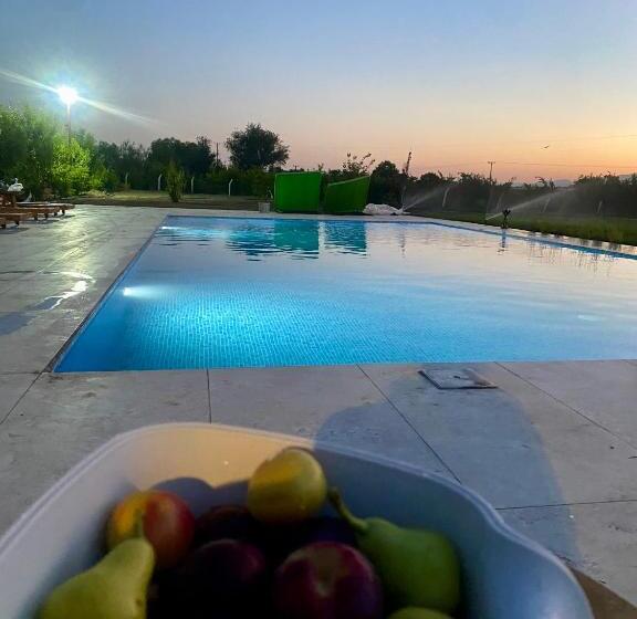 تختخواب و صبحانه Casa Mora Zeytinli