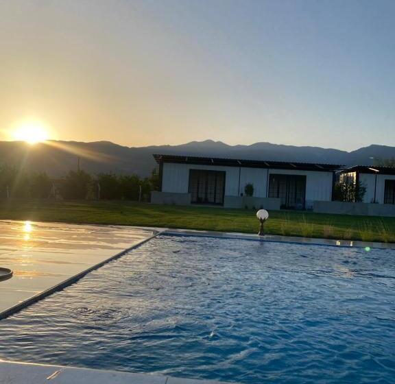 مبيت وإفطار Casa Mora Zeytinli