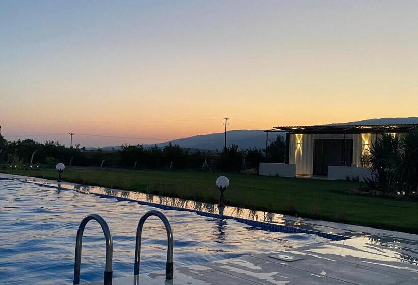 مبيت وإفطار Casa Mora Zeytinli