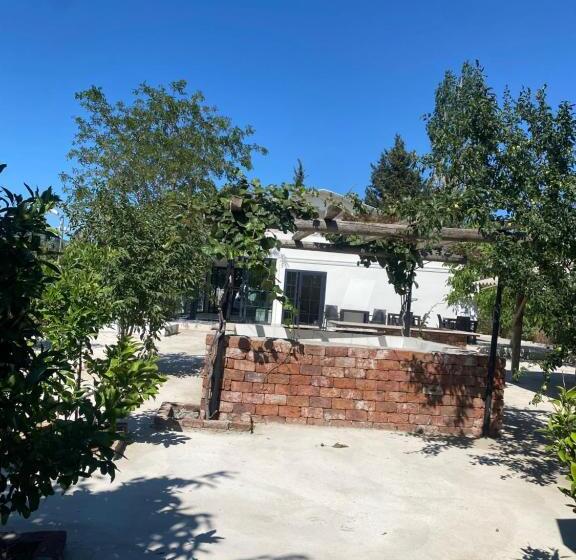 مبيت وإفطار Casa Mora Zeytinli