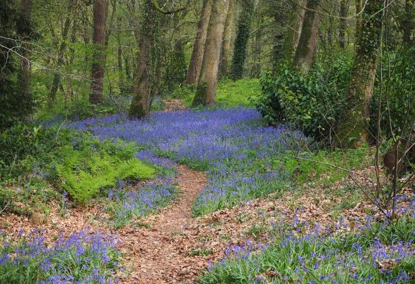 ベッドアンドブレックファースト Chambre D Hôtes De L île