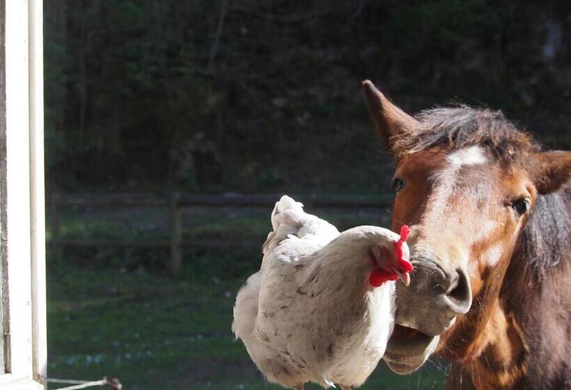 ベッドアンドブレックファースト Chambre D Hôtes De L île