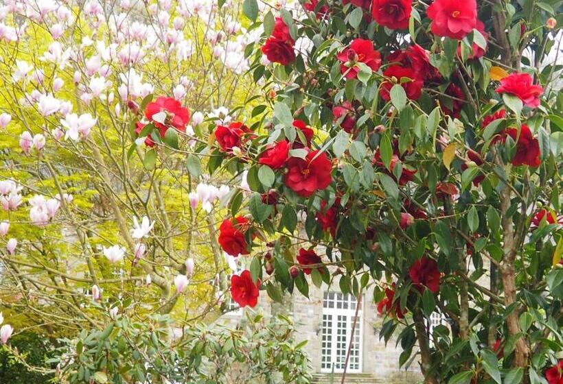 ベッドアンドブレックファースト Chambre D Hôtes De L île