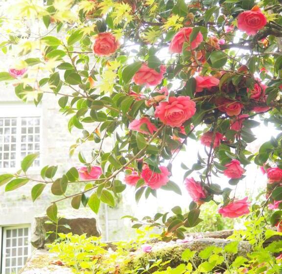 ベッドアンドブレックファースト Chambre D Hôtes De L île