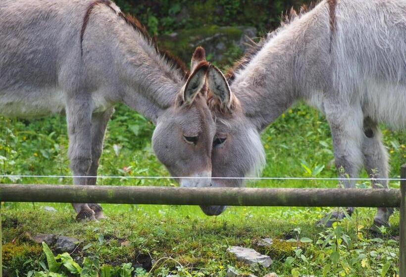 ベッドアンドブレックファースト Chambre D Hôtes De L île