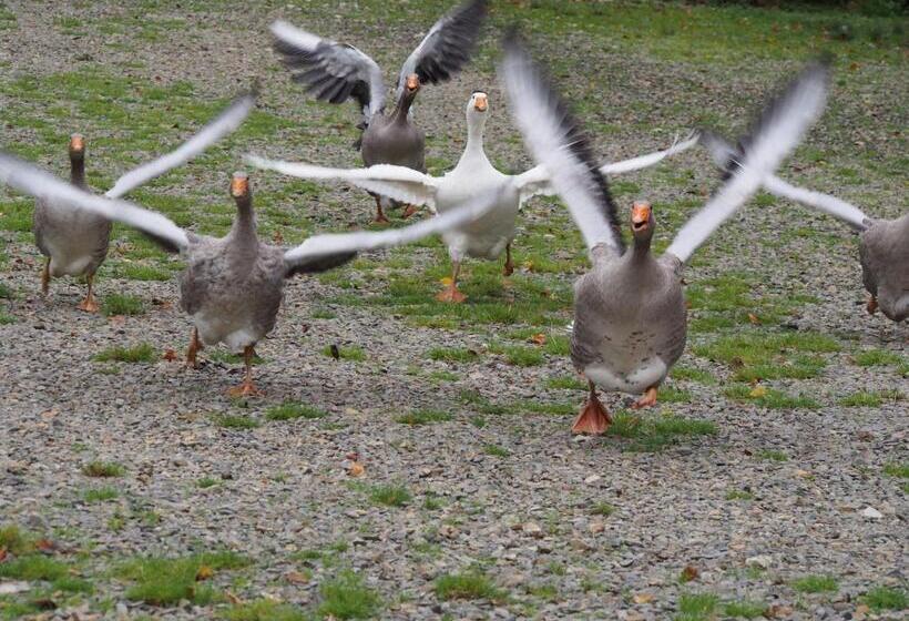 ベッドアンドブレックファースト Chambre D Hôtes De L île