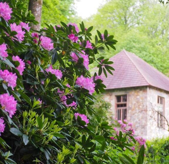 مبيت وإفطار Chambre D Hôtes De L île