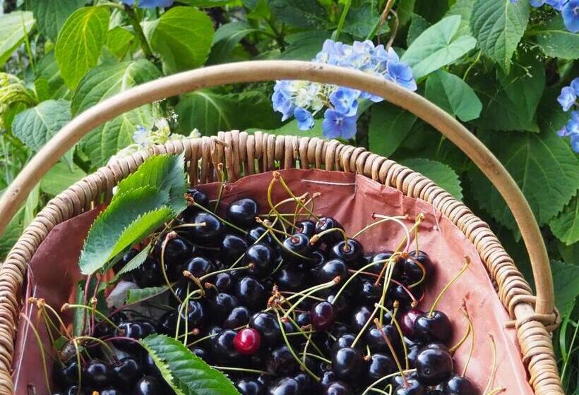 ベッドアンドブレックファースト Chambre D Hôtes De L île